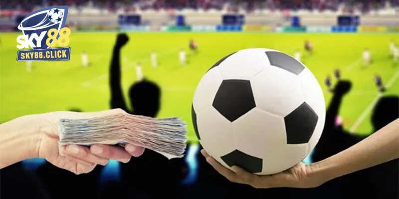 Một vài cách hạn chế kèo tuồng hiệu quả từ chuyên gia