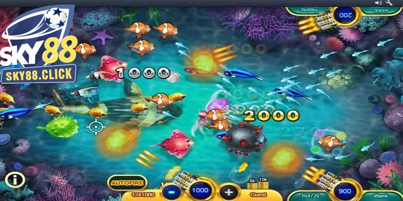 Người chơi cần tập trung vào cá nhỏ để tích lũy điểm ngay từ đầu